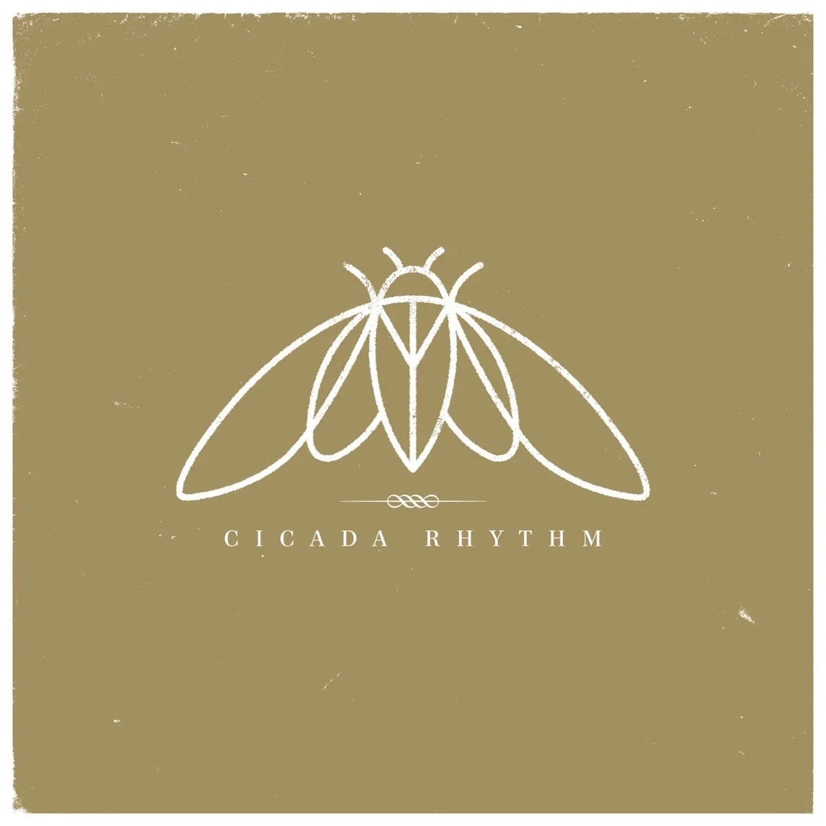 Cicada Rhythm - Cicada Rhythm (LP) - Joco Records