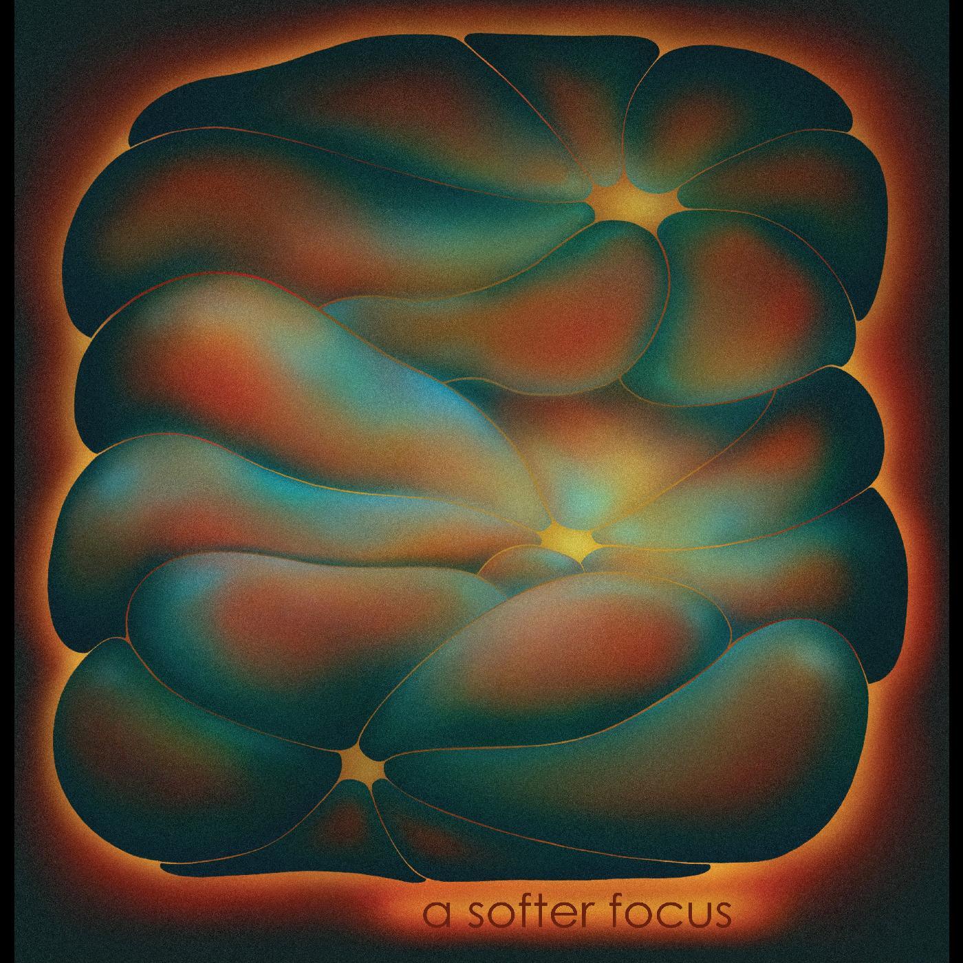 Claire Rousay - A Softer Focus (LP) - Joco Records