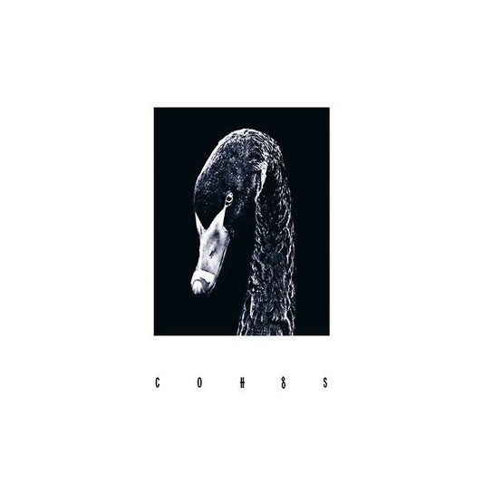 Coh - Cohgs (LP) - Joco Records