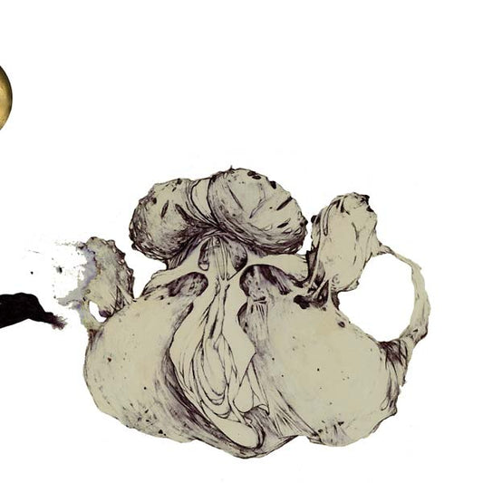Coil - The Ape Of Naples (2 LP) - Joco Records