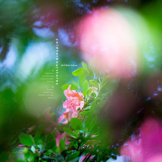 Coldharbourstores - Wilderness (LP) - Joco Records