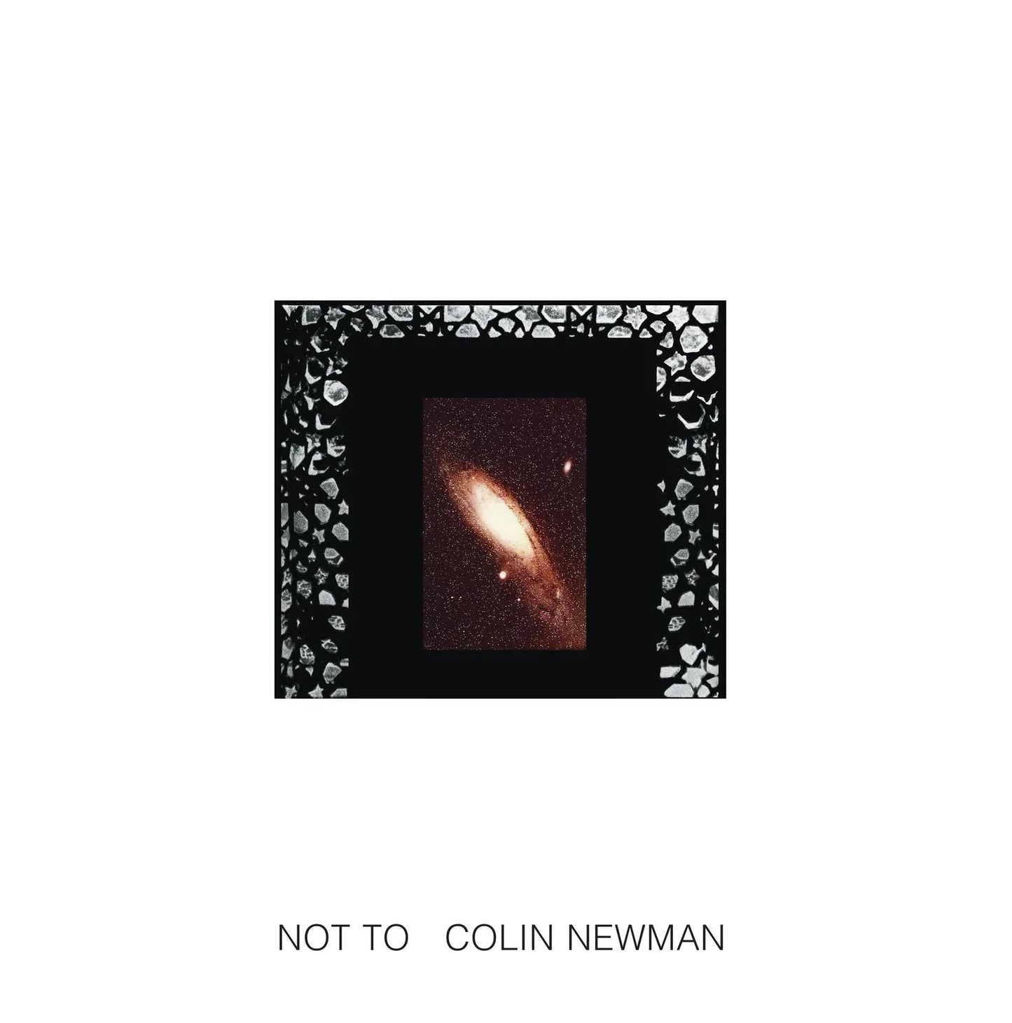 Colin Newman - Not To (LP) - Joco Records