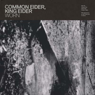 Common Eider, King Eider - Worn (LP) - Joco Records