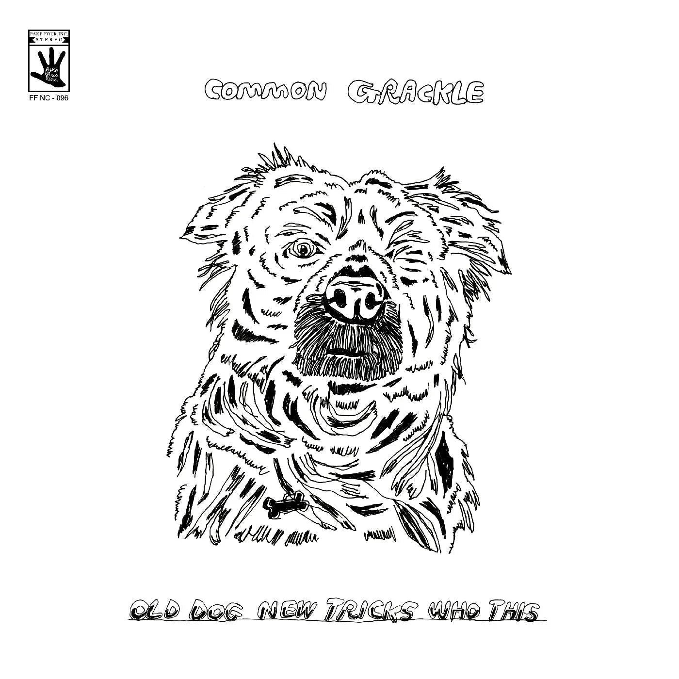 Common Grackle - Old Dog New Tricks Who This (LP) - Joco Records