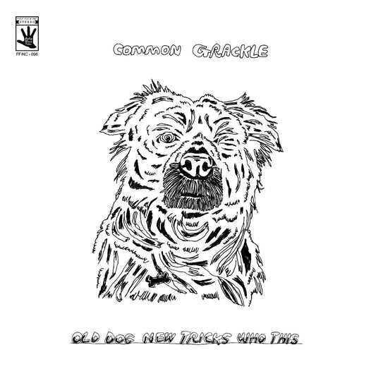 Common Grackle - Old Dog New Tricks Who This (LP) - Joco Records