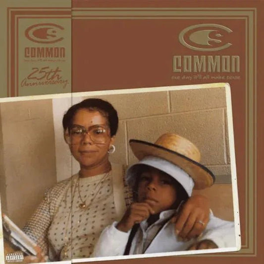 Common - One Day It'll All Make Sense (Caramel Swirl Vinyl) (25th Anniversary Edition) (2 LP) - Joco Records