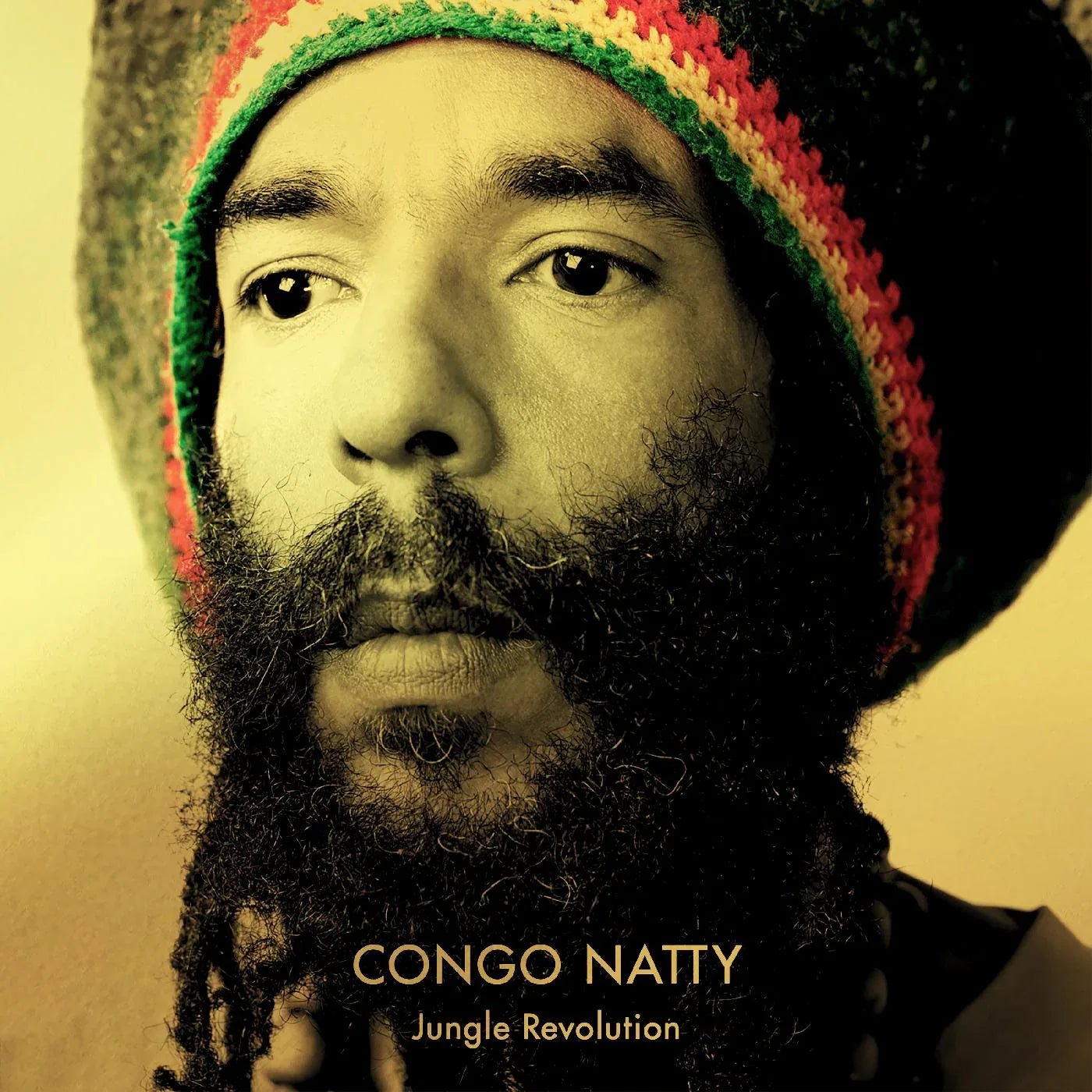 Congo Natty - Jungle Revolution (Yellow & Green Vinyl) (2 LP) - Joco Records