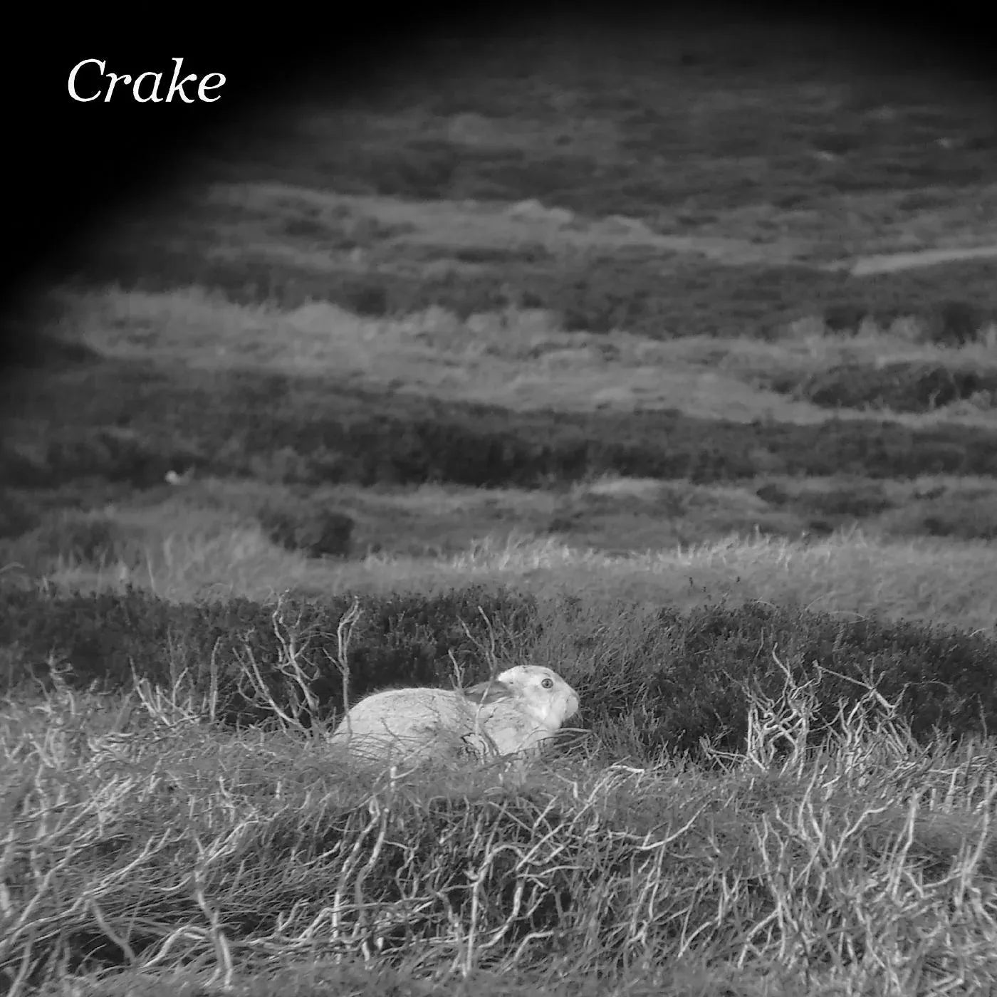 Crake - Enough Salt (For All Dogs) B/W Gef (7-Inch Single) - Joco Records