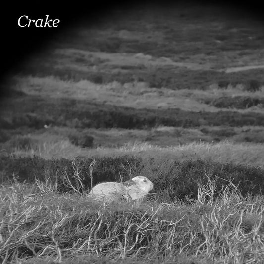 Crake - Enough Salt (For All Dogs) B/W Gef (7-Inch Single) - Joco Records