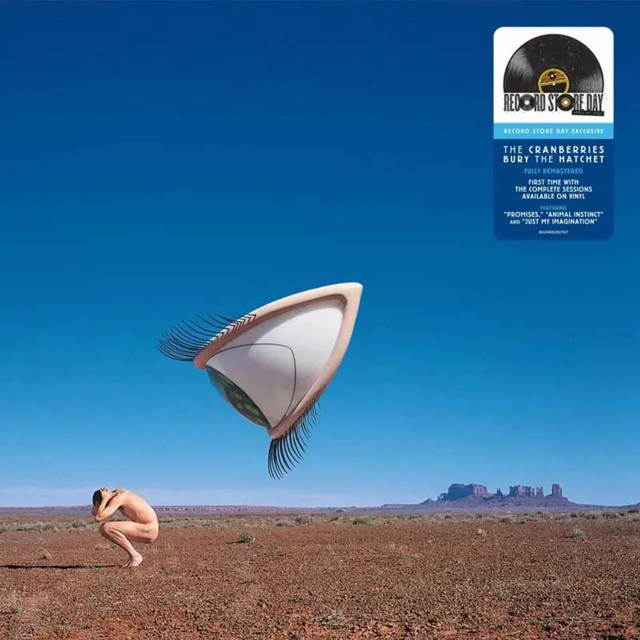 Cranberries - Bury The Hatchet (Complete Sessions) (RSD Exclusive, 4.2024) (2 LP) - Joco Records