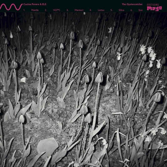 Cucina Povera & Els - The Oystercatcher (LP) - Joco Records