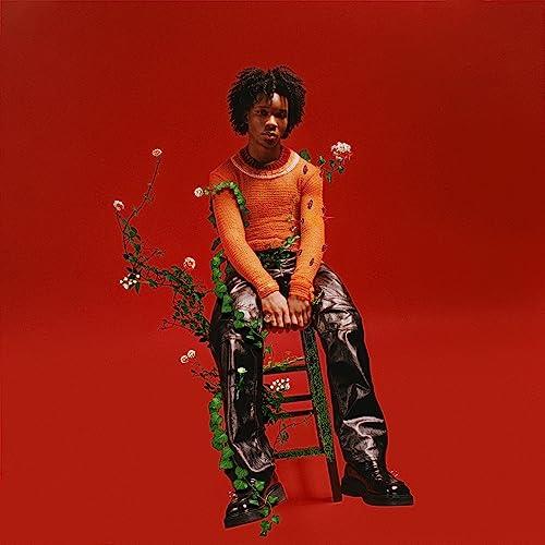 d4vd - Petals To Thorns (Limited Edition, Translucent Black Ice Vinyl) (LP) - Joco Records