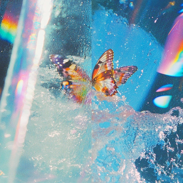 Daphni - Butterfly (2 LP)