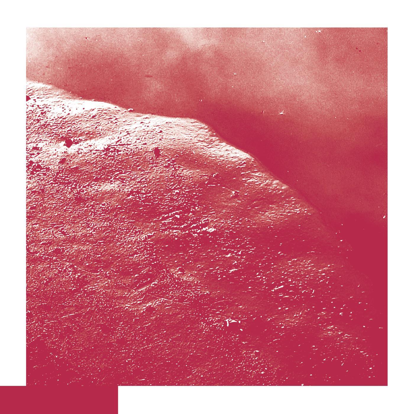 David Allred - The Cell (LP) - Joco Records
