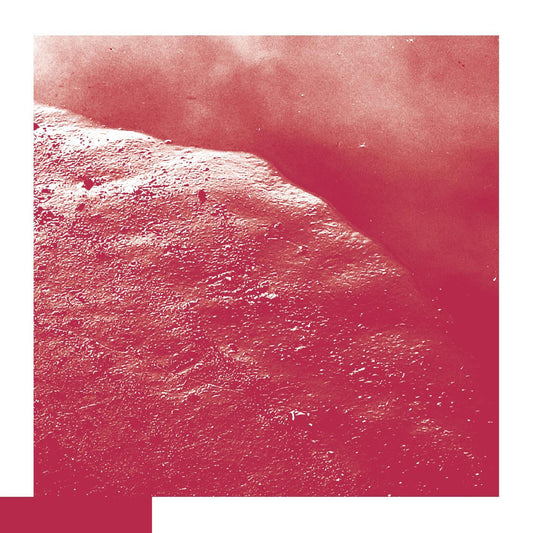 David Allred - The Cell (LP) - Joco Records