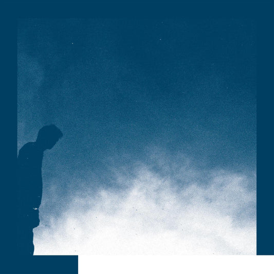 David Allred - The Transition (LP) - Joco Records