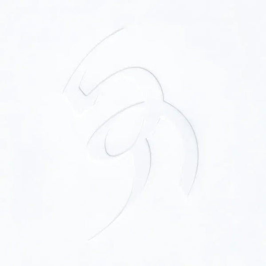 David August - Vis (2 LP) - Joco Records