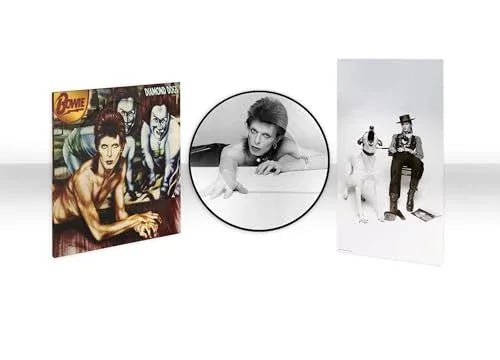 David Bowie - Diamond Dogs (50th Anniversary, Picture Disc) (LP) - Joco Records