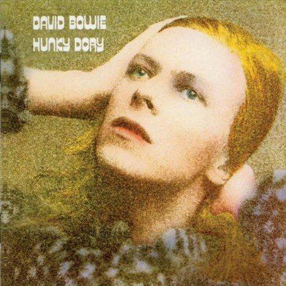 David Bowie - Hunky Dory (Remastered, 180 Gram) (LP) - Joco Records
