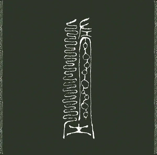 David Grubbs & Taku Unami - Failed Celestial Creatures (LP) - Joco Records