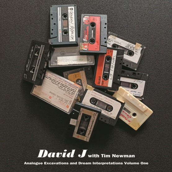 DAVID J WITH TIM NEWMAN - Analogue Excavations & Dream Interpretations Vol.1