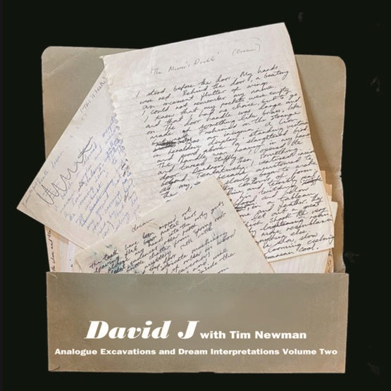 DAVID J WITH TIM NEWMAN - Analogue Excavations & Dream Interpretations Vol.2