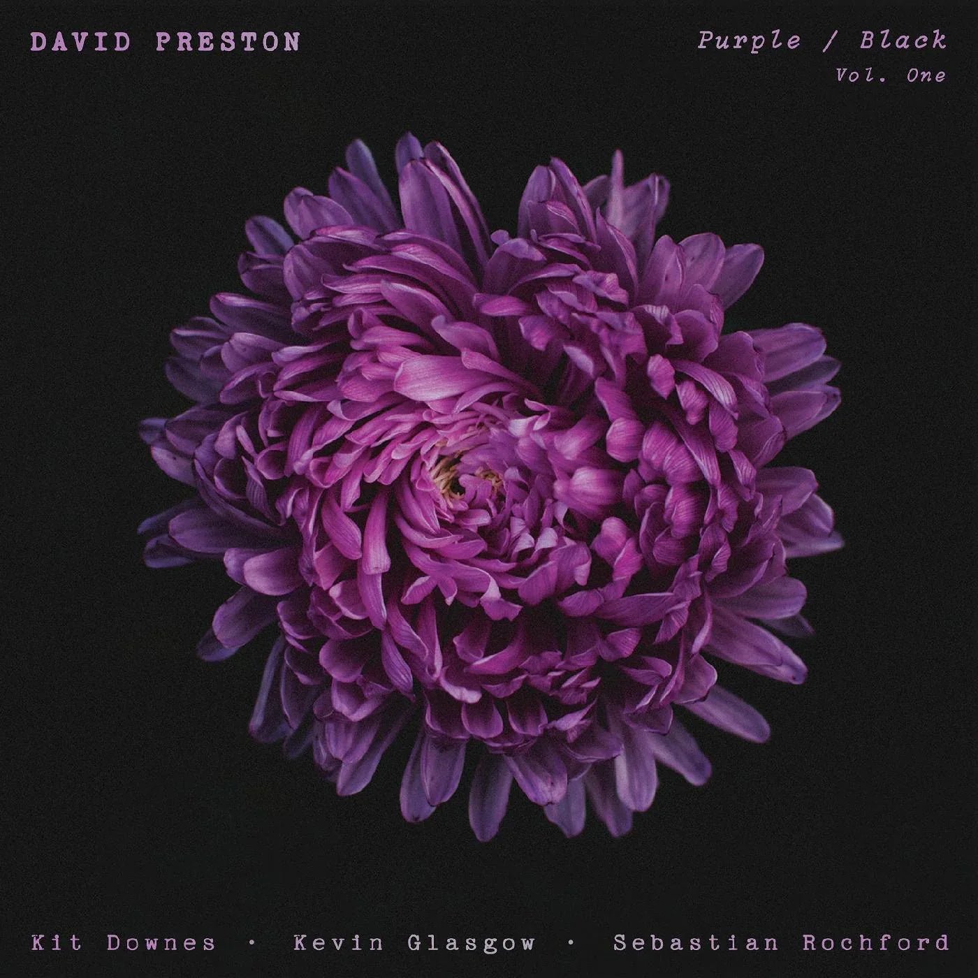 David Preston - Purple / Black Vol.1 (LP) - Joco Records