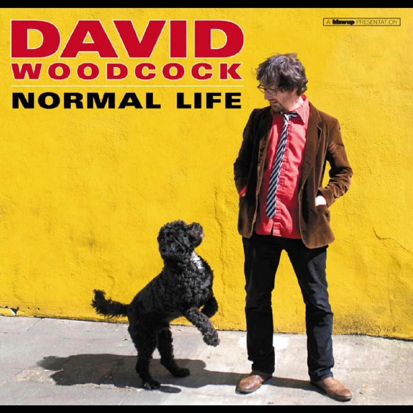 David Woodcock - Normal Life (LP) - Joco Records
