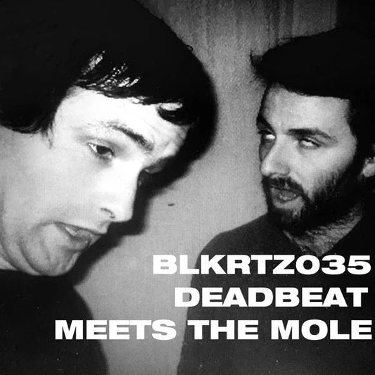 Deadbeat & The Mole - Deadbeat Meets The Mole (2 LP) - Joco Records