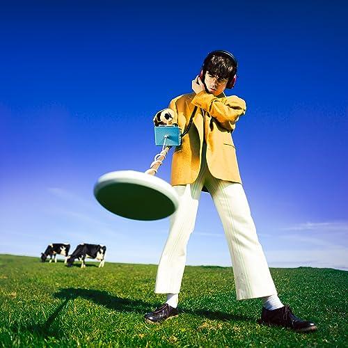 Declan McKenna - What Happened to the Beach? (LP) - Joco Records
