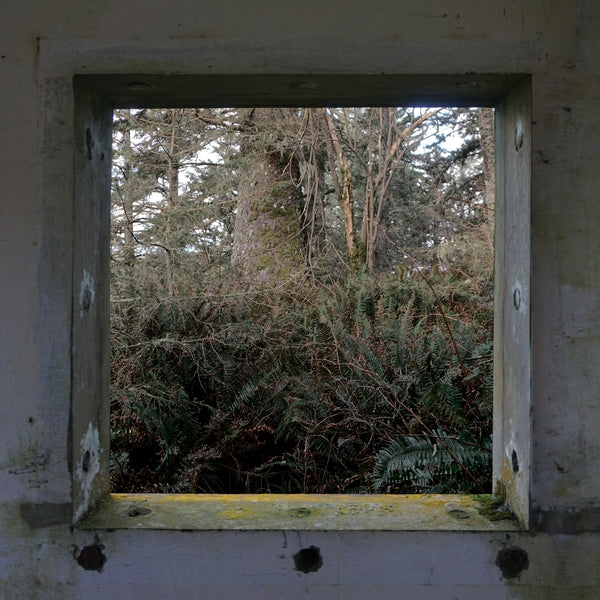 DEREK HUNTER WILSON - ScuLPtures (LP)