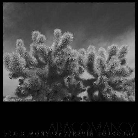Derek Monypeny And Kevin Corcoran - Abacomancy (LP)