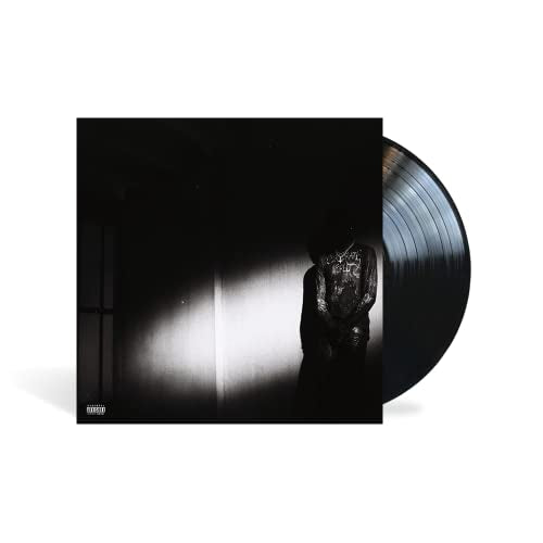 Destroy Lonely - NO STYLIST (LP)