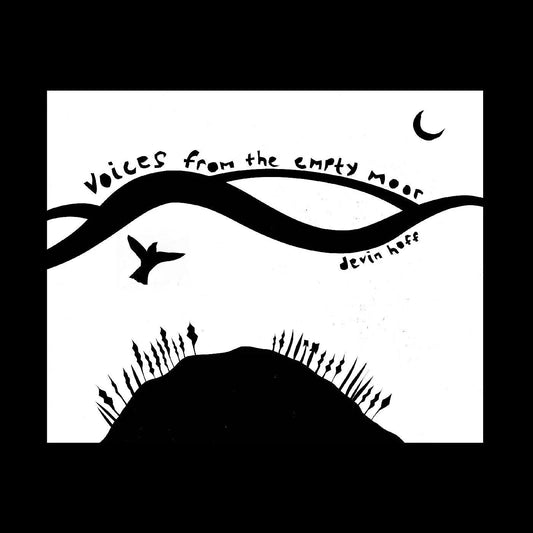 Devin Hoff - Voices From The Empty Moor (Songs Of Anne Briggs) (Sea Foam Vinyl) - Joco Records