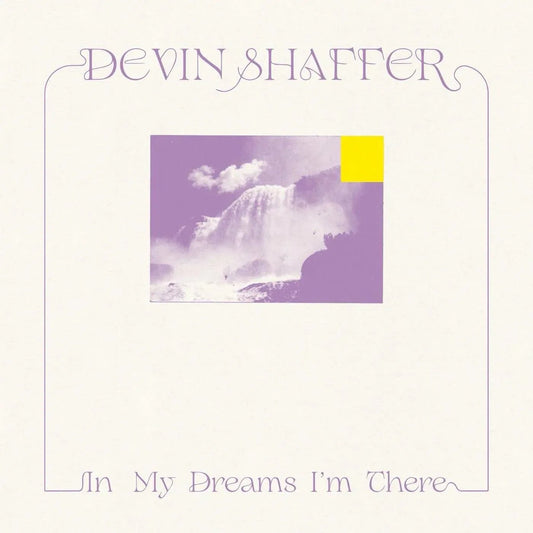 Devin Shaffer - In My Dreams I'm There (LP) - Joco Records