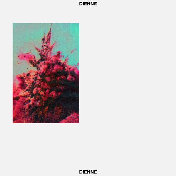 Dienne - Addio (LP) - Joco Records