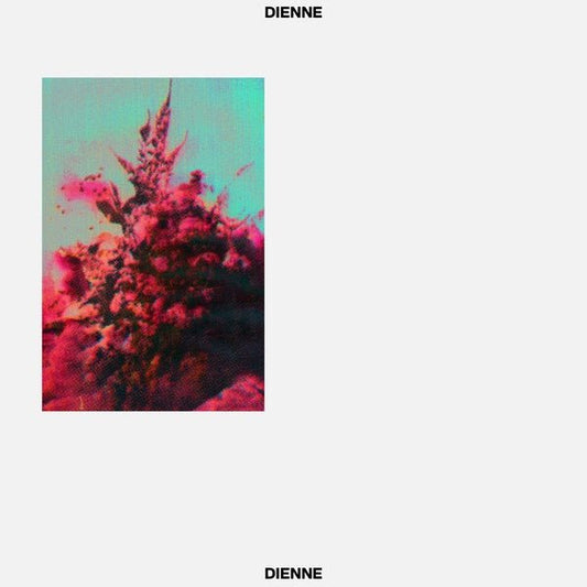 Dienne - Addio (LP) - Joco Records