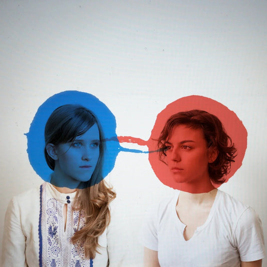Dirty Projectors - Bitte Orca (LP) - Joco Records