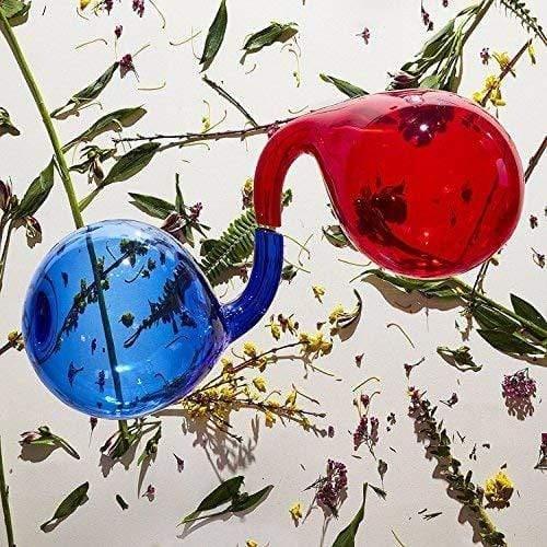 Dirty Projectors - Lamp Lit Prose (Color Vinyl) (Indie Exclusive) (LP) - Joco Records