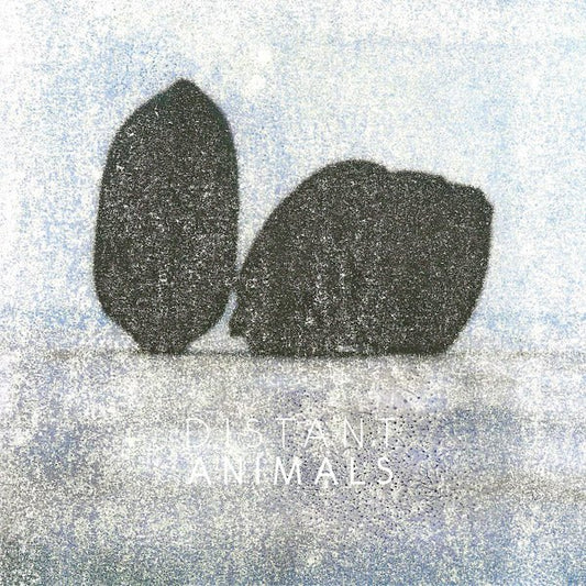 Distant Animals - Lines (LP) - Joco Records