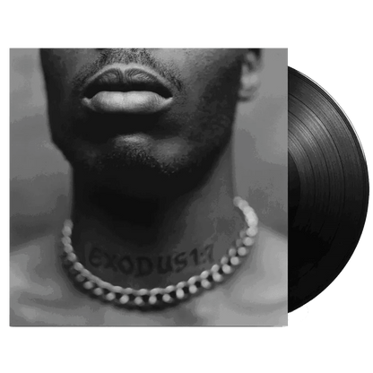DMX - Exodus (Explicit) (LP) - Joco Records