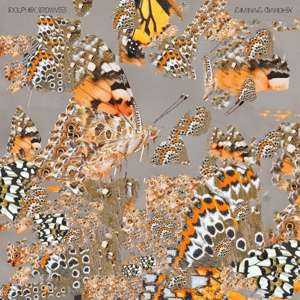 Dolphin Midwives - Liminal Garden (LP) - Joco Records