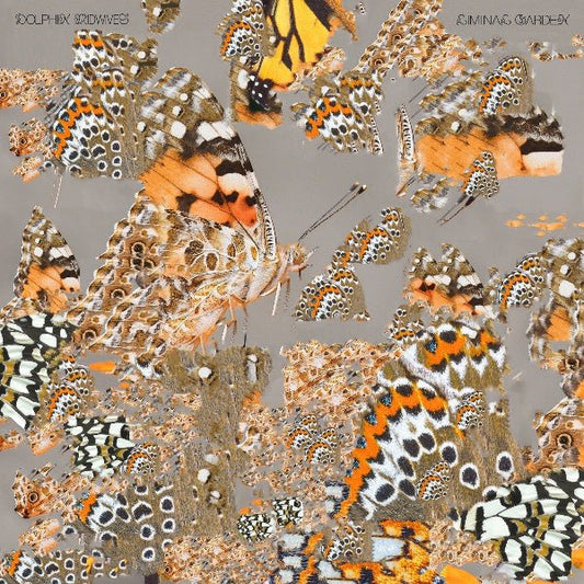 Dolphin Midwives - Liminal Garden (LP) - Joco Records