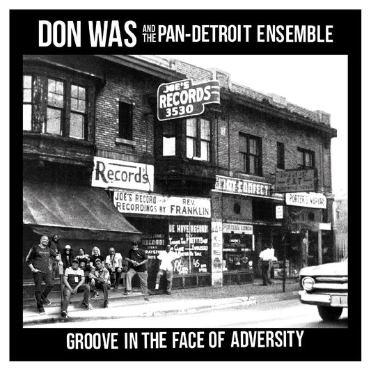 Don Was - Groove In The Face Of Adversity (LP) - Joco Records