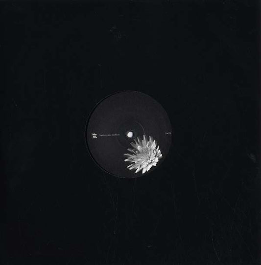 Donato Dozzy - Terzo Giorno (12 - Inch Vinyl) - Joco Records