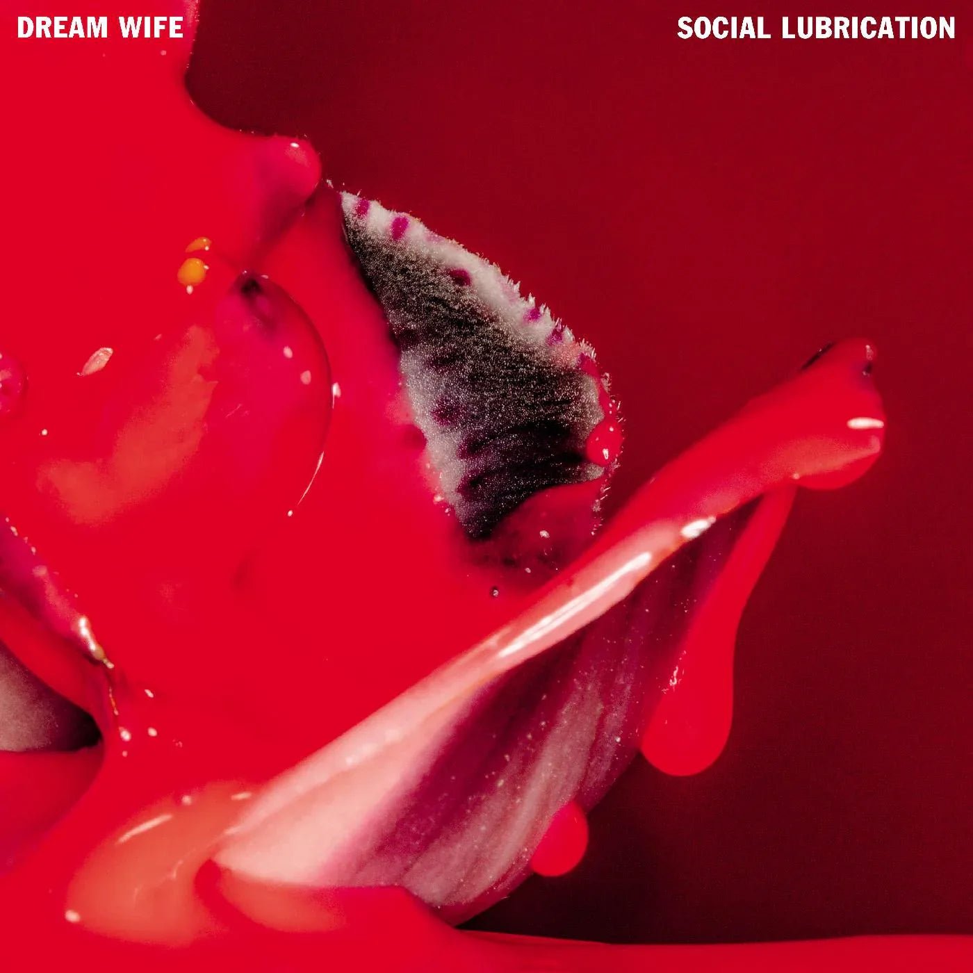 Dream Wife - Social Lubrication (Deep Red Vinyl) (LP) - Joco Records