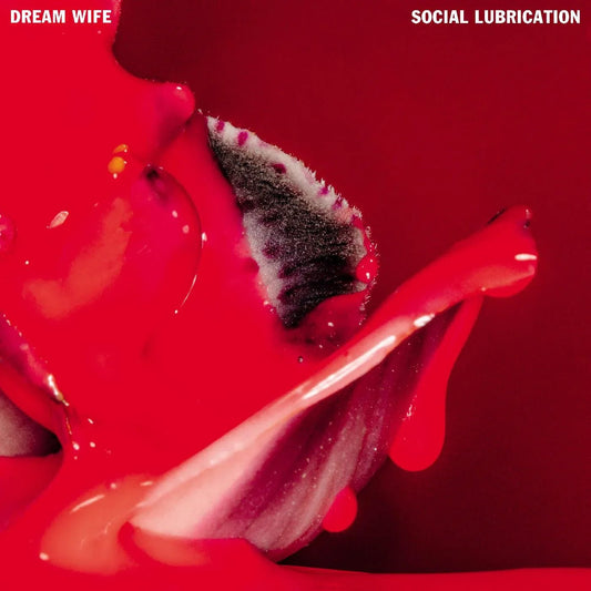 Dream Wife - Social Lubrication (Deep Red Vinyl) (LP) - Joco Records
