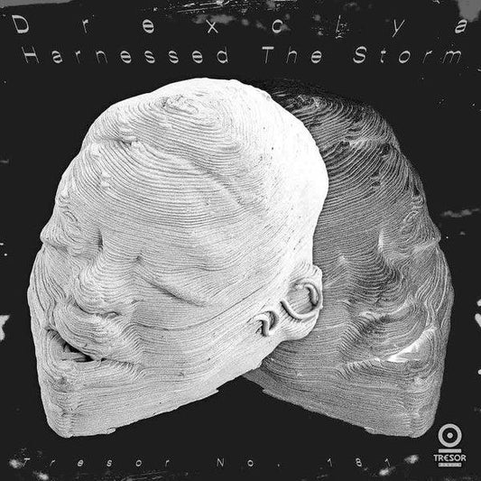 Drexciya - Harnessed The Storm (2 LP) - Joco Records