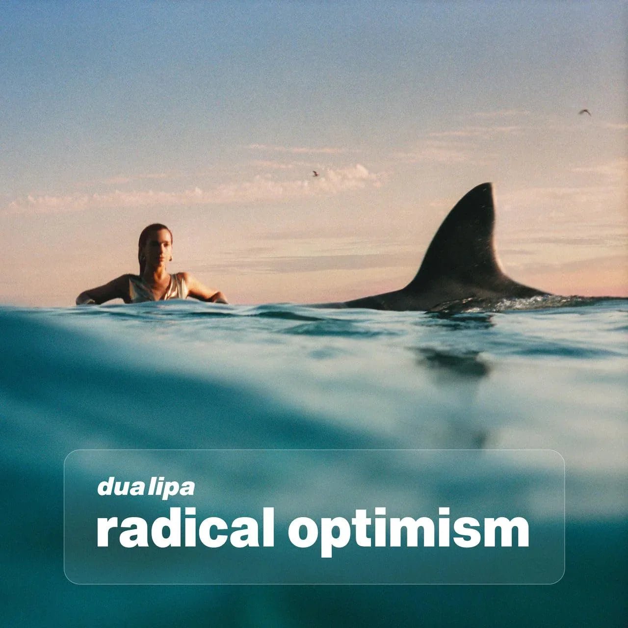 Dua Lipa - Radial Optimism (Indie Exclusive, Recycled Red Vinyl) (LP) - Joco Records