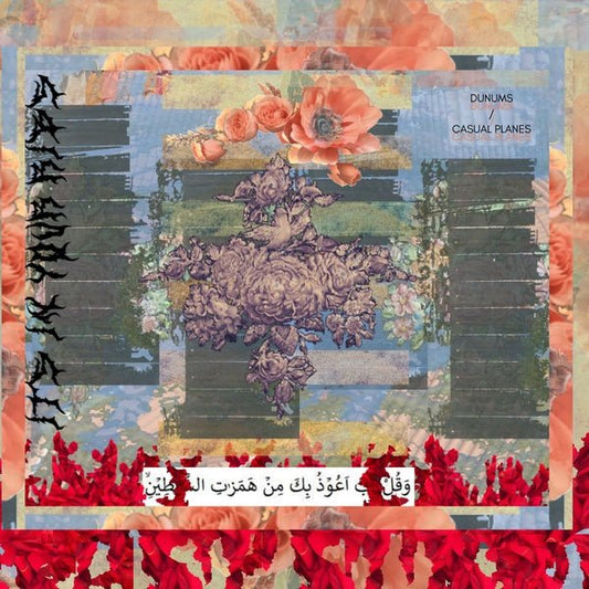 Dunums/Casual Planes - Its In Your Ribs (Vinyl) - Joco Records